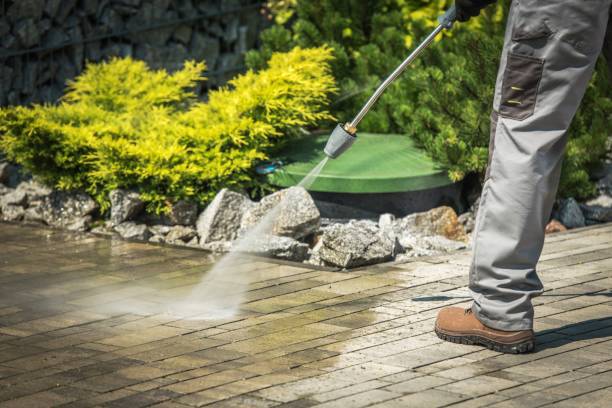 Best Fence Cleaning  in Del Monte Forest, CA